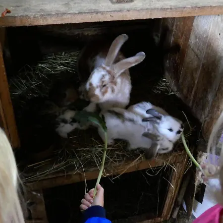 At Sedliacky Dvor - Penzión pre hostí