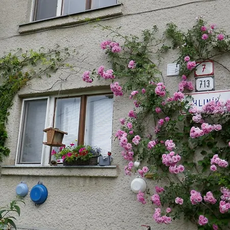 At Sedliacky Dvor - * Brezno