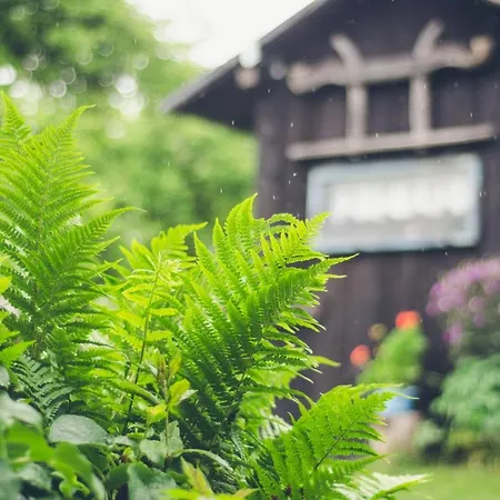 At Sedliacky Dvor - 3*