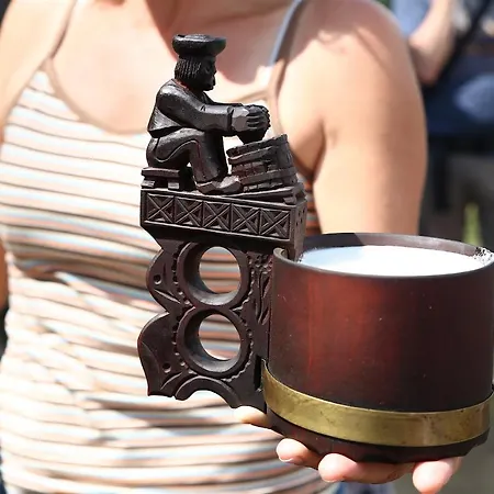 Penzión pre hostí At Sedliacky Dvor - 3*