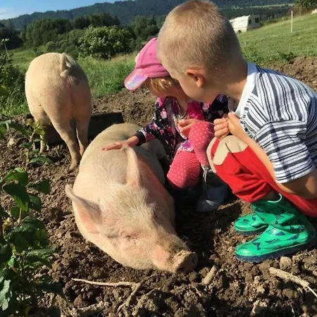 At Sedliacky Dvor - Penzión pre hostí