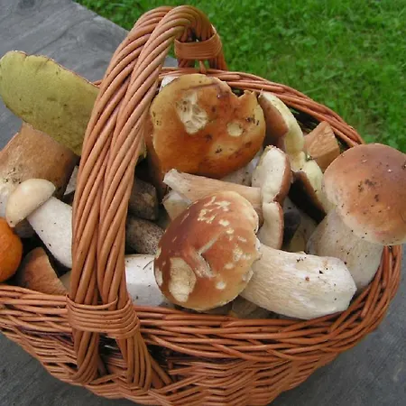 At Sedliacky Dvor - Brezno